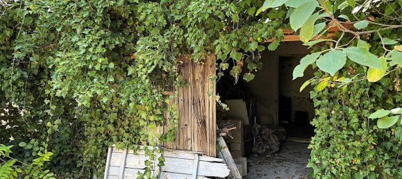 5 rooms Villa in Anguillara Sabazia, Italy No. 306374 15