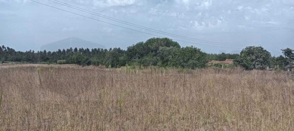 Grundstück in Ouca, Portugal 6227m², Nr. 255485 4