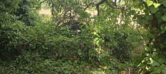 Grundstück in Ouca, Portugal 6227m², Nr. 255485 6