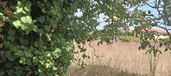 Grundstück in Ouca, Portugal 6227m², Nr. 255485 12