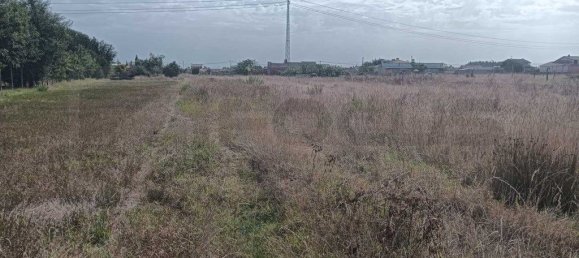 Grundstück in Ouca, Portugal 6227m², Nr. 255485 9