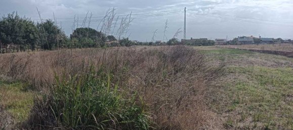 Grundstück in Ouca, Portugal 6227m², Nr. 255485 10