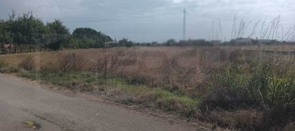 Grundstück in Ouca, Portugal 6227m², Nr. 255485 17