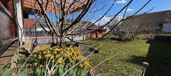 9 rooms House in Ortenaukreis, Germany No. 93744 31