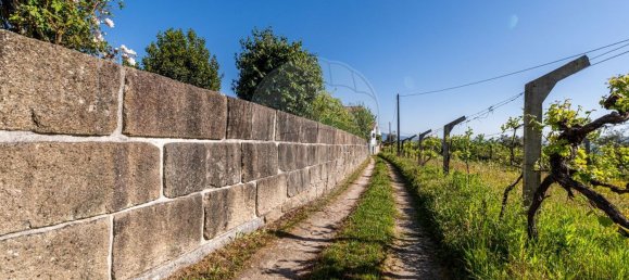 Дом с 3 спальнями в Амаранти, Португалия № 156529 31