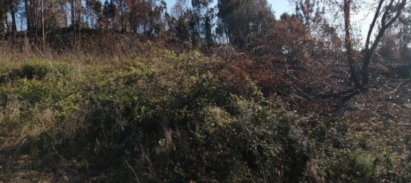 900m² Land in Vila Nova de Gaia, Portugal No. 45646 4