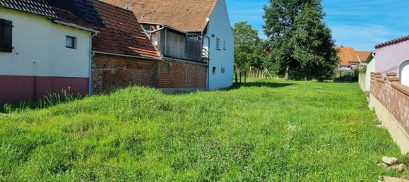 Terrain à Buhl, France 925m² No. 251864 2