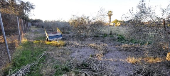 Casa T4 em Sagunto, Spain N.º 177267 35