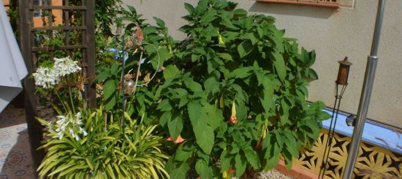 Villa de 4 dormitorios en Alicante, Spain No. 177120 25