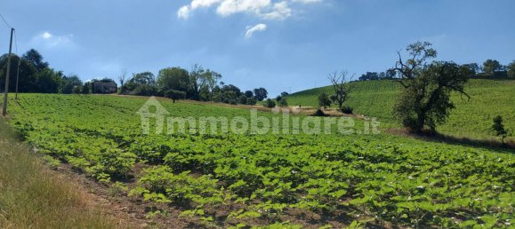 Дом с 3 спальнями в Морро д’Альба, Италия № 120544 13