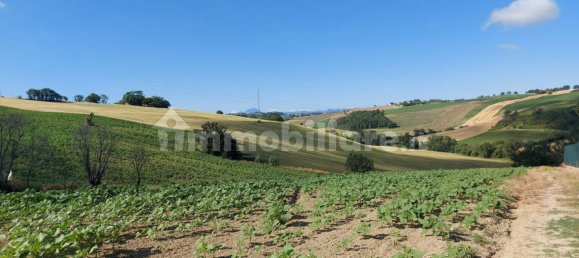 Дом с 3 спальнями в Морро д’Альба, Италия № 120544 43