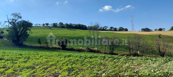 Дом с 3 спальнями в Морро д’Альба, Италия № 120544 9