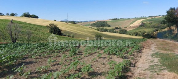 Дом с 3 спальнями в Морро д’Альба, Италия № 120544 29