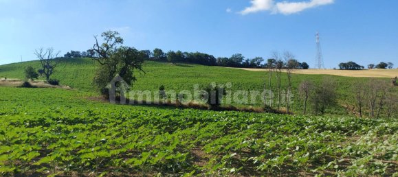 Дом с 3 спальнями в Морро д’Альба, Италия № 120544 36