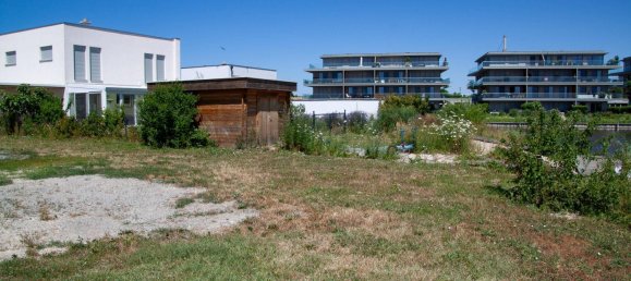 Terrain à Oggau am Neusiedler See, Austria 643m² No. 156285 8