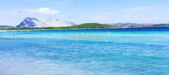 3 rooms House in San Teodoro, Italy No. 232897 45