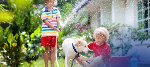 4-salle Maison à Bautzen, Germany No. 200537 28