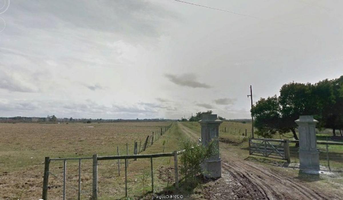  Farm in Maldonado, Uruguay No. 14720