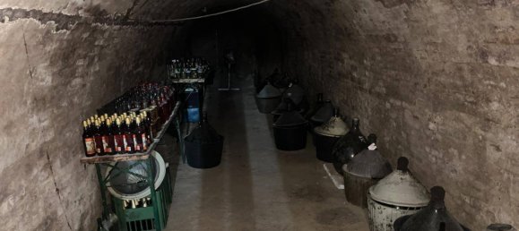 Propriété commerciale à Wetzelsdorf, Austria 56m² No. 13252 10