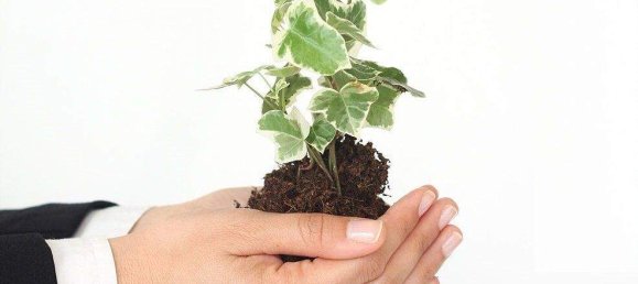 Коммерческая недвижимость в Зальцбург, Австрия № 149215 3