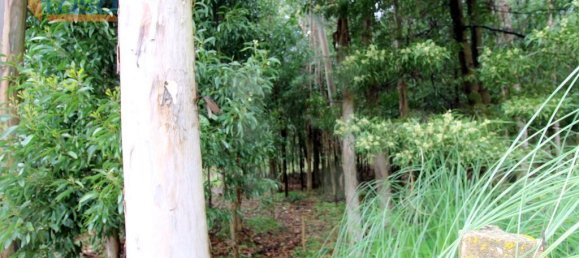 2000m² Land in Rio Meao, Portugal No. 86239 9