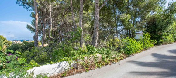 Terreno em Alicante, Spain N.º 141217 5