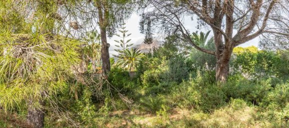 Terreno em Alicante, Spain N.º 141217 3