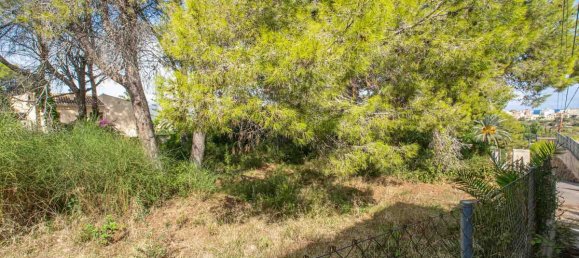 Terreno em Alicante, Spain N.º 141217 8