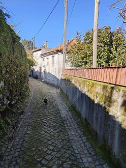 3 bedrooms House in Arganil, Portugal No. 164574