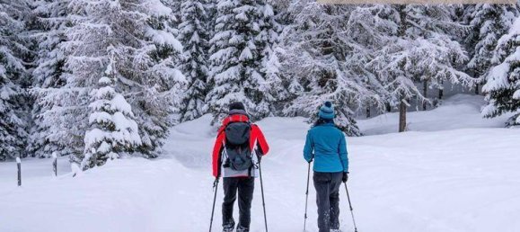 4 غرف نوم منزل في Albeck, Austria رقم 178481 31