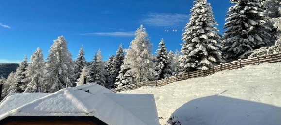 4 غرف نوم منزل في Albeck, Austria رقم 178481 20