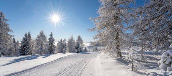 4 غرف نوم منزل في Albeck, Austria رقم 178481 30