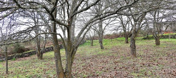 5 Schlafzimmer Haus in Santa Marta de Penaguiao, Portugal, Nr. 181672 29