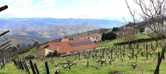 5 Schlafzimmer Haus in Santa Marta de Penaguiao, Portugal, Nr. 181672 24