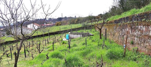 5 Schlafzimmer Haus in Santa Marta de Penaguiao, Portugal, Nr. 181672 25