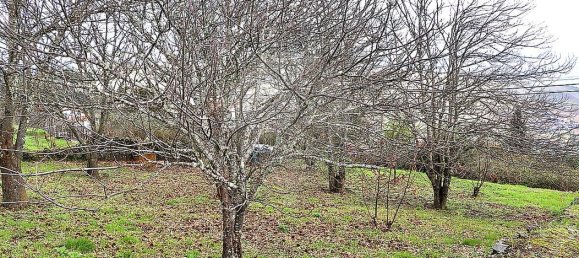 5 Schlafzimmer Haus in Santa Marta de Penaguiao, Portugal, Nr. 181672 30