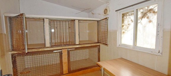 2 bedrooms House in Dolores, Spain No. 287172 11