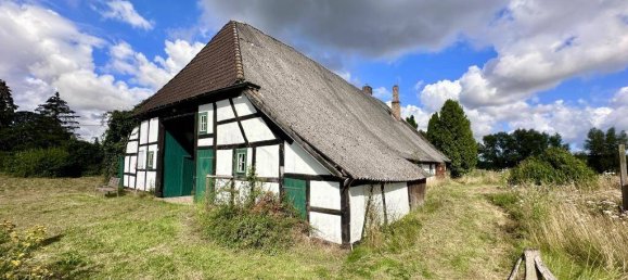 Дом с 7 комнатами в Северо-Западный Мекленбург, Германия № 170147 4