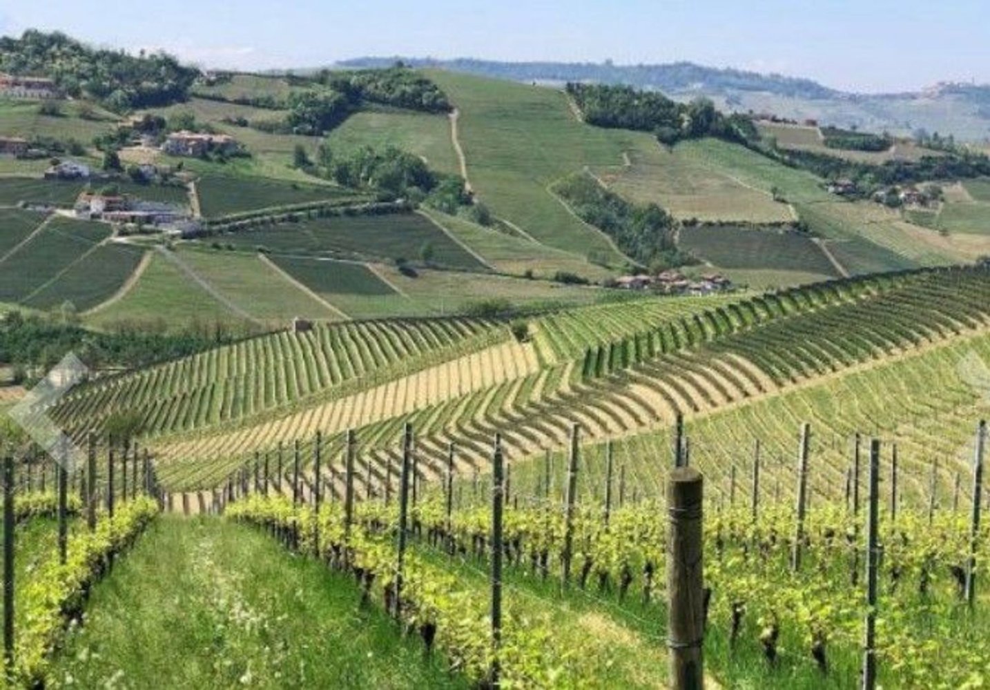 8300m² Land in Verduno, Italy No. 103725