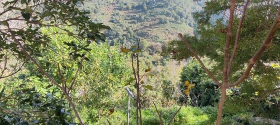 3 غرف نوم تاون هاوس في Poggio-d'Oletta, France رقم 154890 12