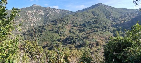 3 غرف نوم تاون هاوس في Poggio-d'Oletta, France رقم 154890 11