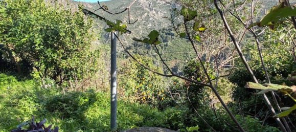 3 غرف نوم تاون هاوس في Poggio-d'Oletta, France رقم 154890 2