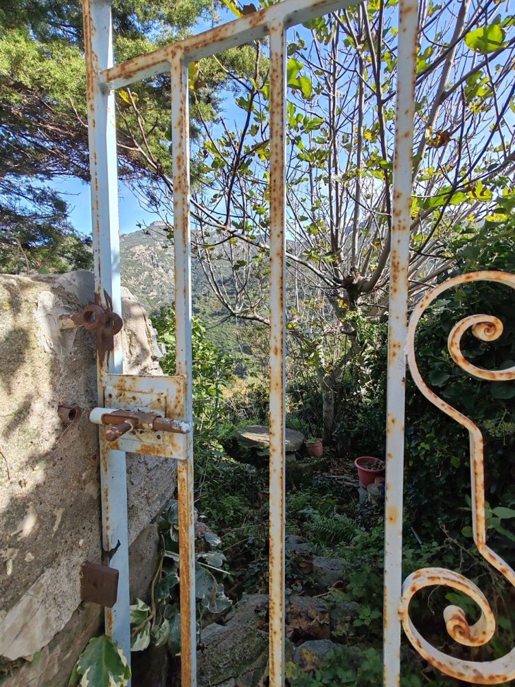 3 غرف نوم تاون هاوس في Poggio-d'Oletta, France رقم 154890