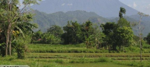 Земельный участок 3311м² в Клунгкунг, Индонезия № 3980 2