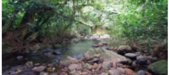  Land in Vazquez de Coronado, Costa Rica No. 1656 4