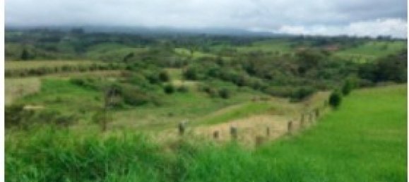  Land in Vazquez de Coronado, Costa Rica No. 1656 5