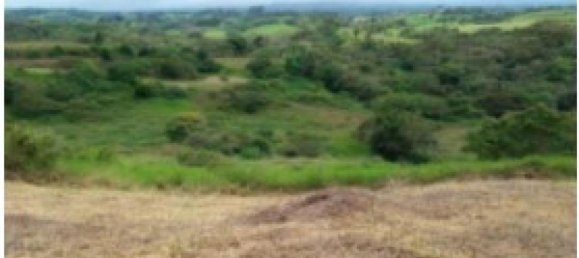  Land in Vazquez de Coronado, Costa Rica No. 1656 3