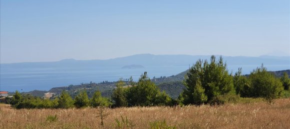 12000m² Hotel in Chalkidiki, Greece No. 4122 2