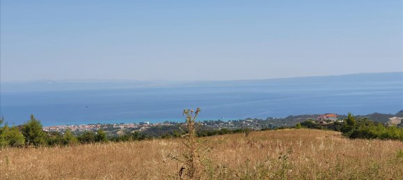 12000m² Hotel in Chalkidiki, Greece No. 4122 3