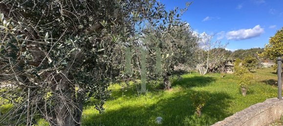 3 rooms House in Ostuni, Italy No. 237287 23